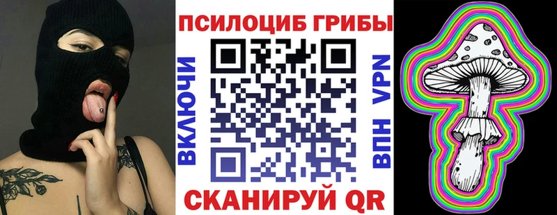 Купить закладки  Бакал  Галлюциногенные грибы Magic Shrooms 